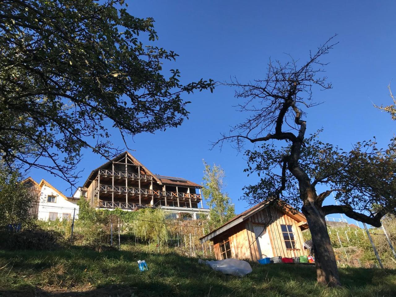 ObersaxenAtelier 67住宿加早餐旅馆 外观 照片
